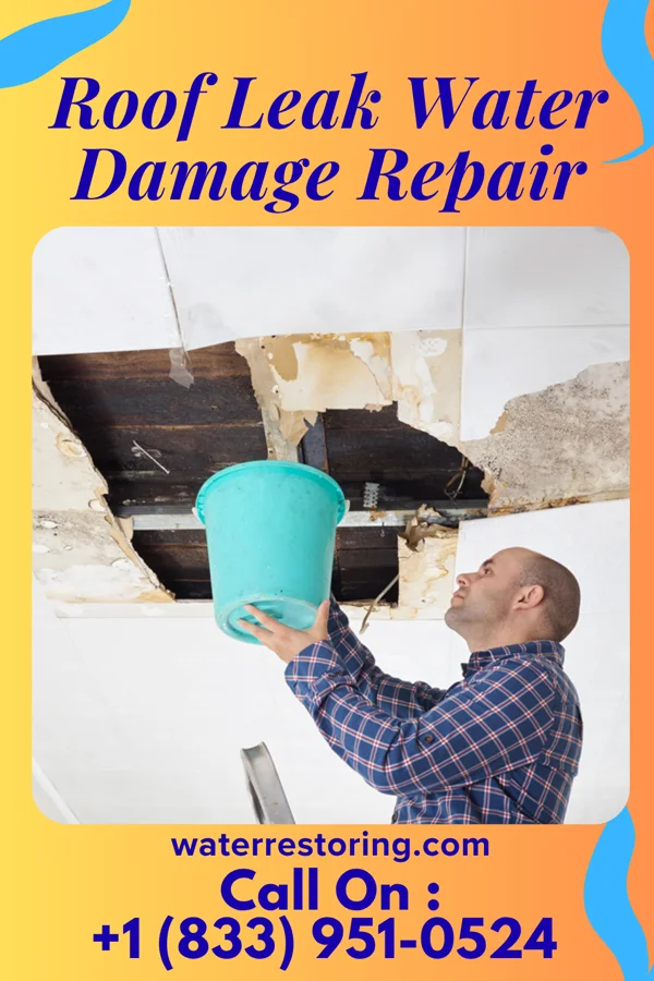 Roof Leak Water Damage Repair in Fairgrove, MI
