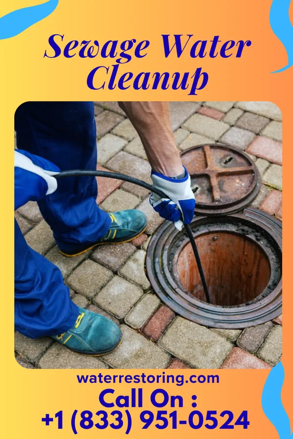 Sewage Water Cleanup in Fairgrove, MI