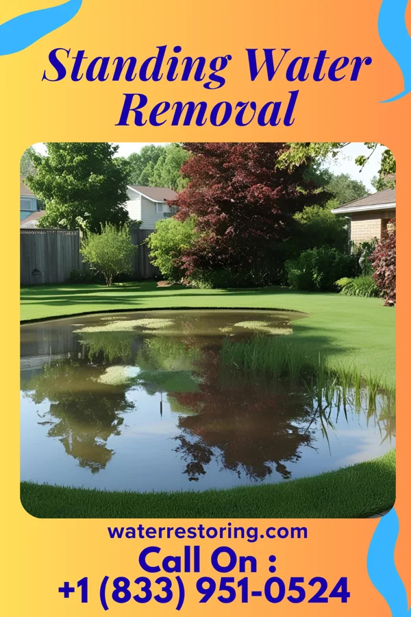 Standing Water Removal in Fairgrove, MI